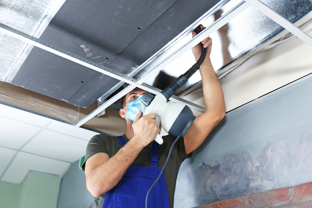 Why Your Business Needs Professional Air Duct Cleaning Services image